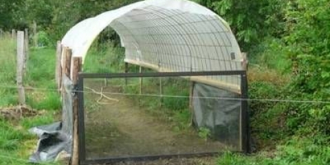 Kako napraviti staklenik od improviziranih materijala